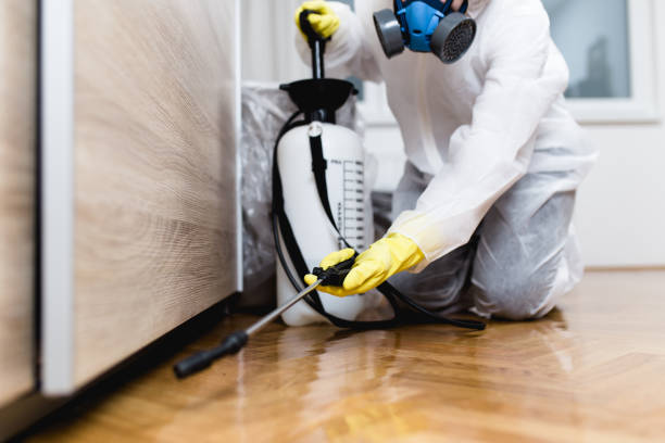 Best Commercial Pest Control Services  in Rehoboth Beach, DE