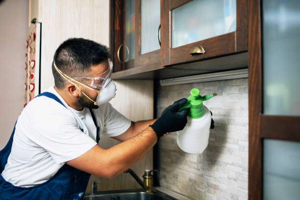 Rehoboth Beach, DE Pest Control Company