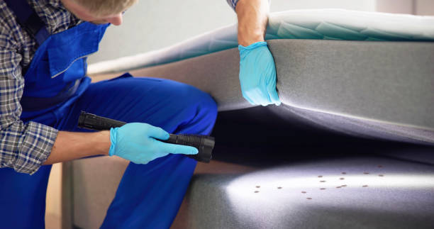 Best Best Pest Control Companies  in Rehoboth Beach, DE